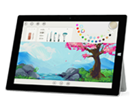 威远Surface 无法开启、Windows 无法启动或电池无法充电